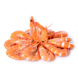 Langostino cocido fresco 30/40kg
