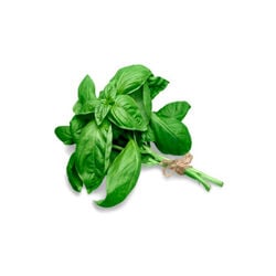 Albahaca blister 20g