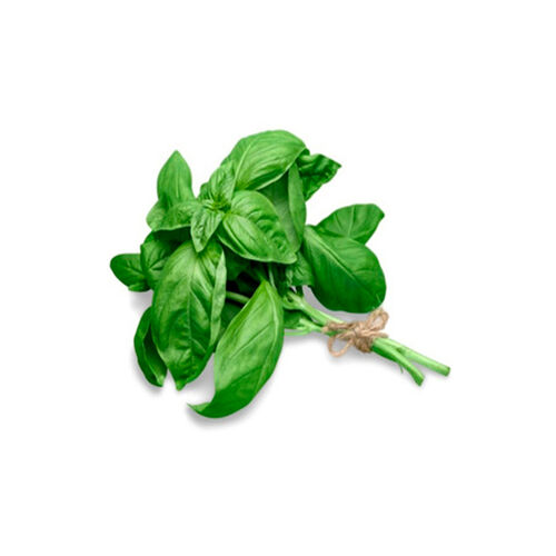 ALBAHACA BLISTER 20g image number