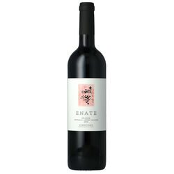 Vino tinto Crianza DO Somontano ENATE 750ml