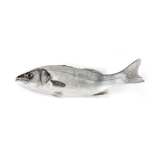 Lubina grande 1100.140g kg image number