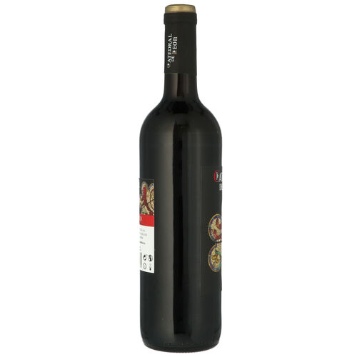 Vino tinto catedral de Le&oacute;n 75cl image number