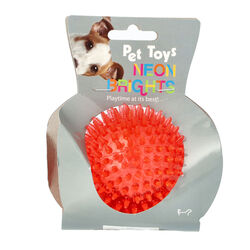 PELOTA PERRO JUEGO PINS