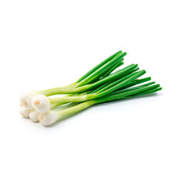 Cebolletas manojo 3uds