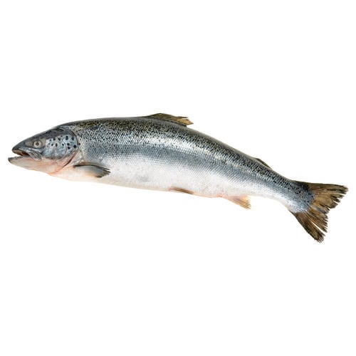 SALMON ENTERO 5-6kg image number