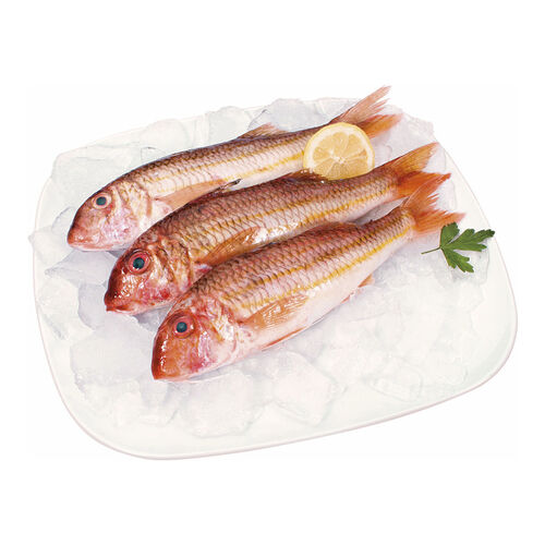 SALMONETES DE ROCA kg image number