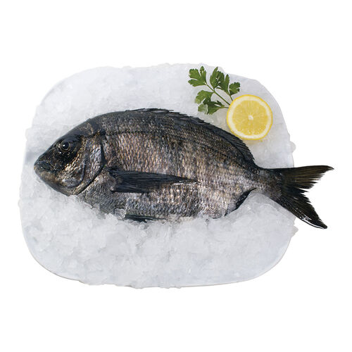 CHOPA kg image number