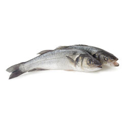 Lubina 800.9g