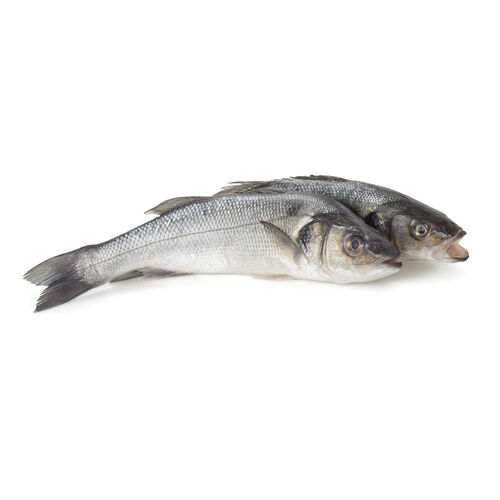 Lubina 800.9g image number