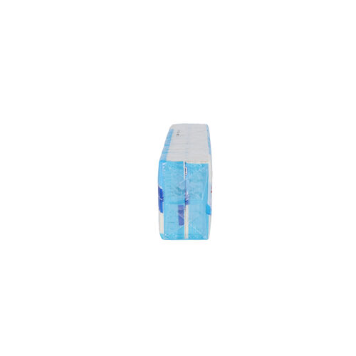 Pa&ntilde;uelos de papel SELEX Mini 3 capas pack 10uds image number