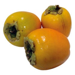Kakis kg