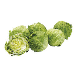 LECHUGA ICEBERG ALTEZA ud