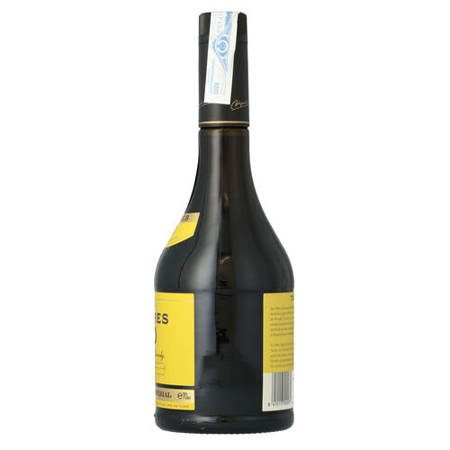 Brandy TORRES 10 a&ntilde;os 70cl image number
