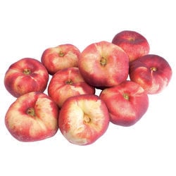 Platerina kg