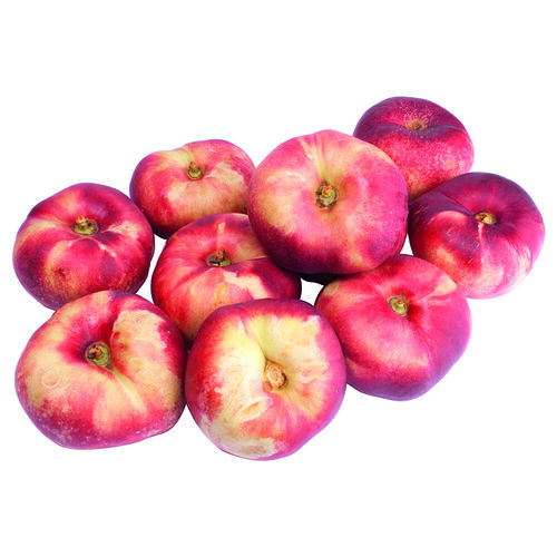 Platerina kg image number