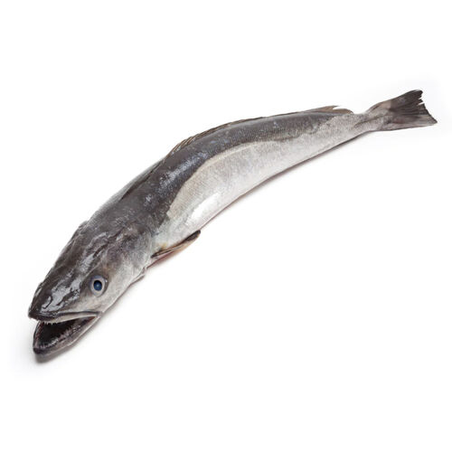 MERLUZA 3kg image number