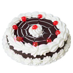 TARTA CHARLOTA 8 RACIONES