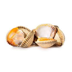 Berberechos bolsa 500g