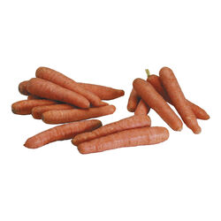 ZANAHORIA BOLSA 500g