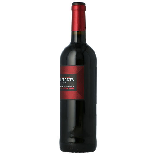 Vino tinto ARZUAGA la planta do ribera duero 750ml image number