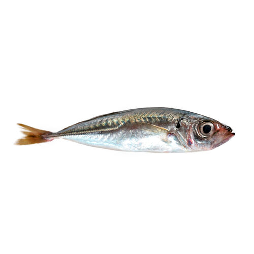 Chicharrin kg image number