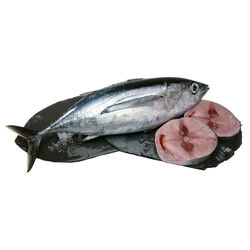 BONITO DEL NORTE MEDIANO kg