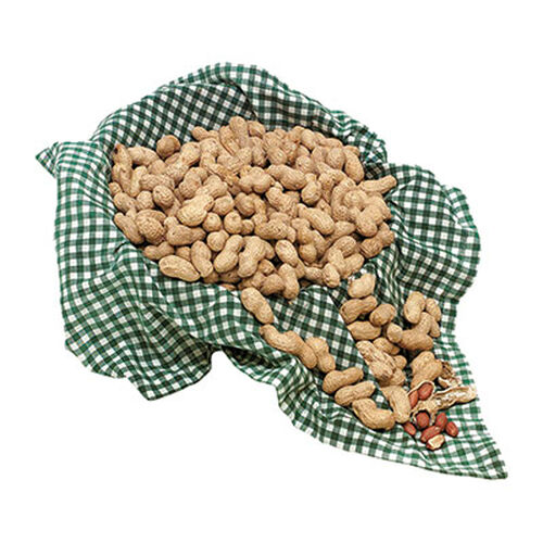 CACAHUETE JUMBO TOSTADO EL NOGAL BOLSA 5KG image number