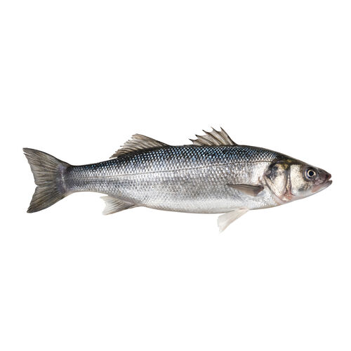 Lubina salvaje kg image number