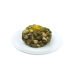 Almeja marinera bolsa 500g
