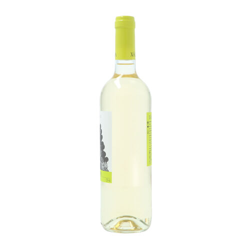 Vino blanco XALIMA Verdejo tierra de castilla 75cl image number